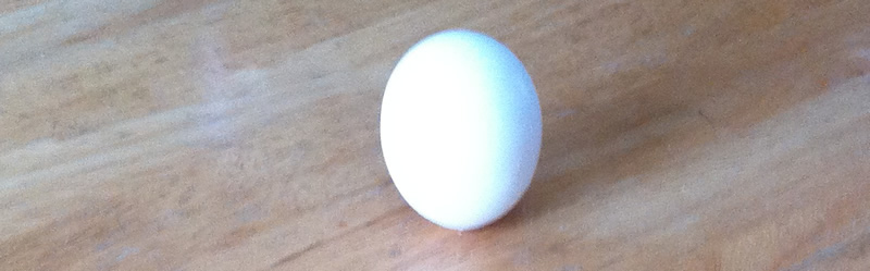 egg