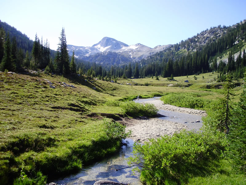wallowas